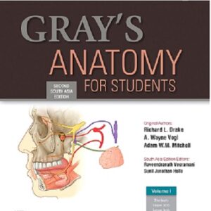 gray anatomy