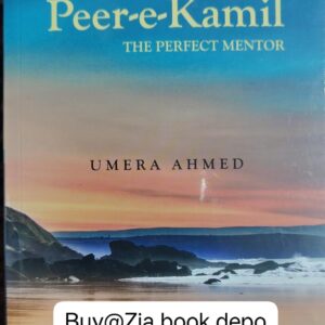 Peer E Kamil [The Perfect Mentor]